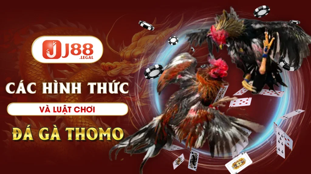 Các hình thức và luật chơi đá gà thomo