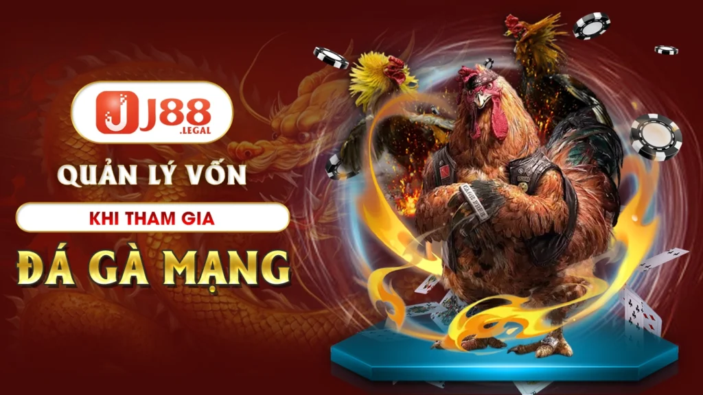 Đá gà mạng J88