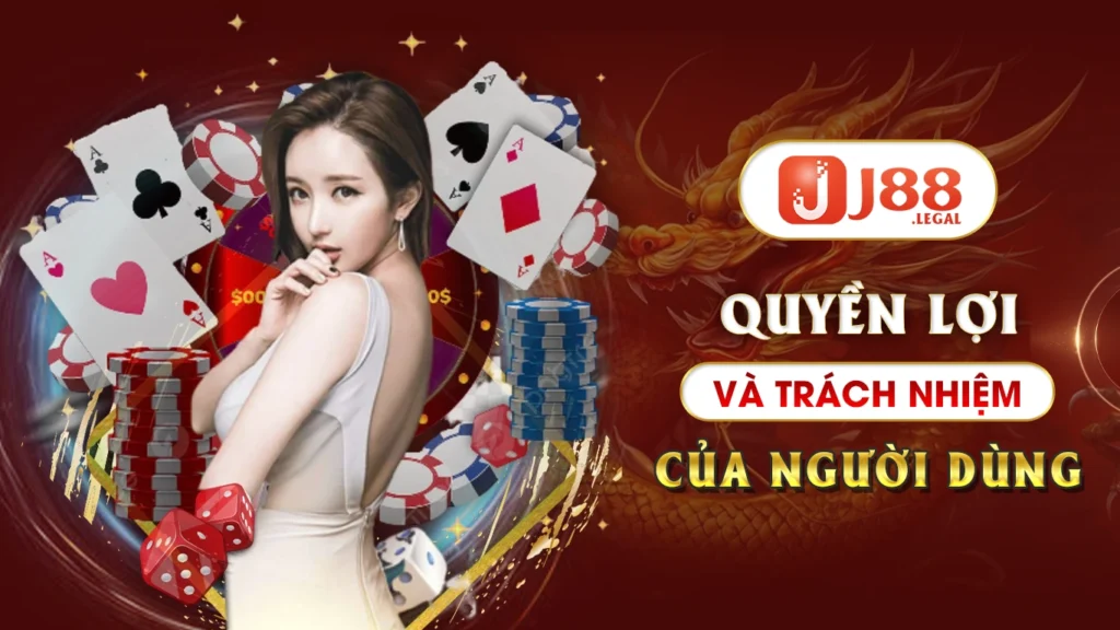 Quyền lợi và trách nhiệm của người dùng